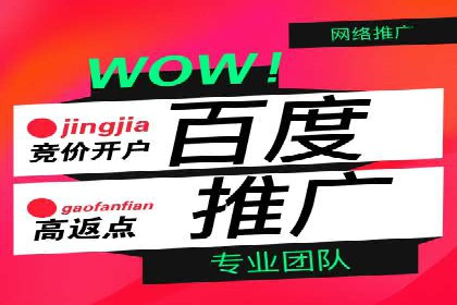 SEM竞价代运营公司实战案例分析
